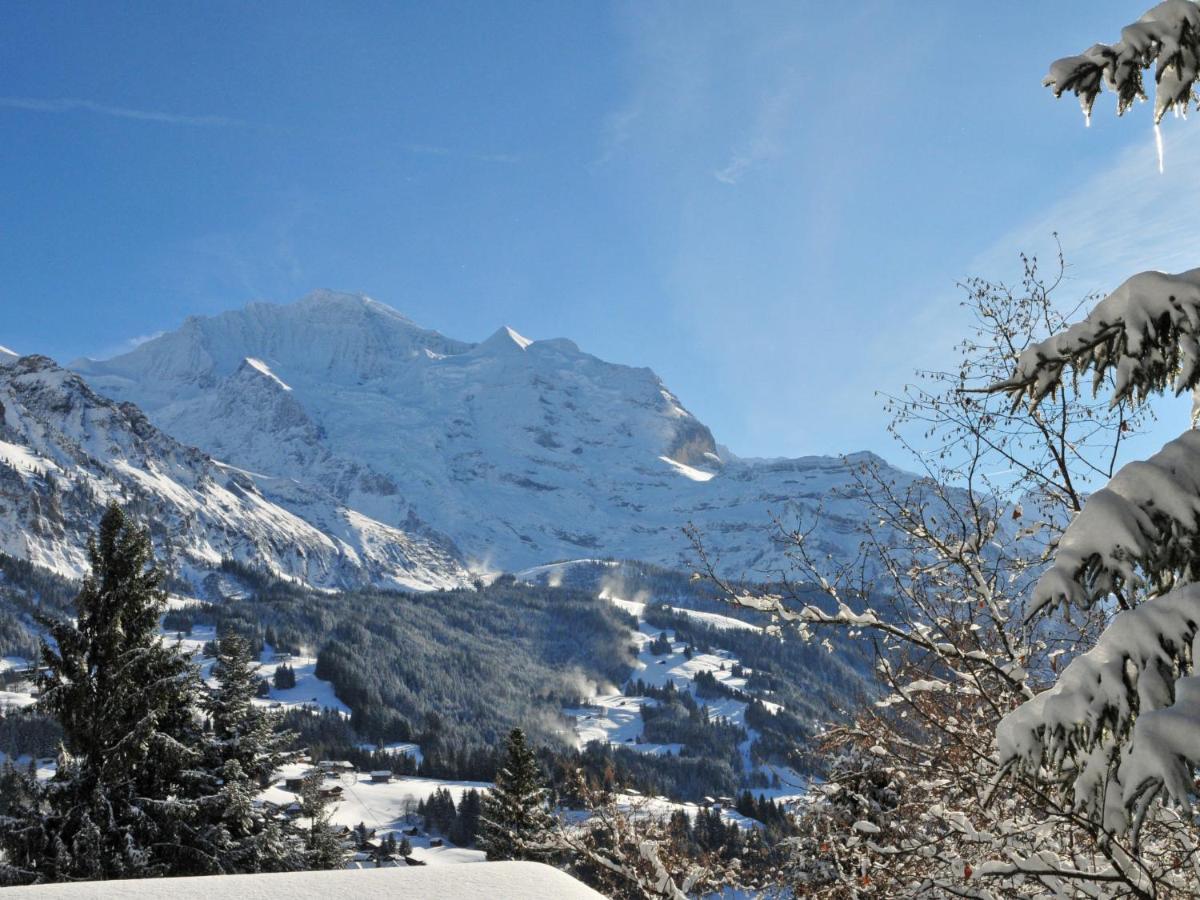 Apartment Plein Soleil By Interhome Wengen Exteriör bild